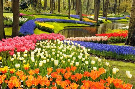 keukenhof attractions crossword clue  Click the answer to find similar crossword clues 